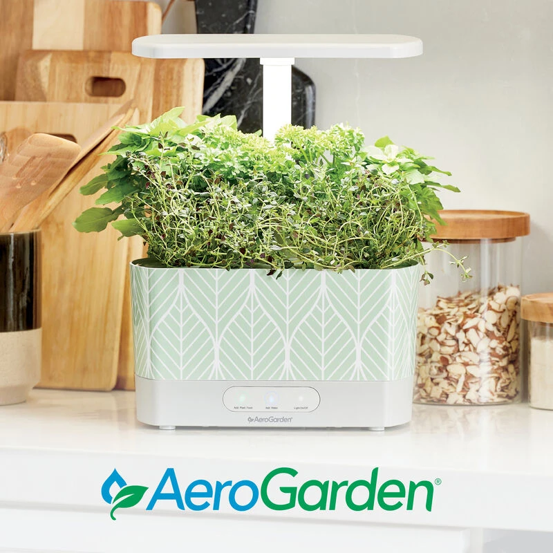 Harvest Garden Wraps, Pattern Theme 7 Harvest Garden Wraps, Pattern Theme - Image 7