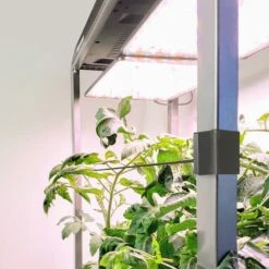 Farm 24 Trellis System