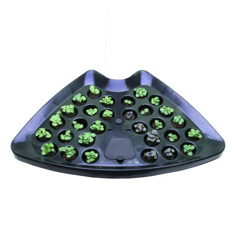 Seed Starting System For Classic 6 AeroGarden 2 Seed Starting System For Classic 6 AeroGarden - Image 2