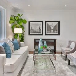 Ficus Lyrata - Fiddle Leaf Fig 17 Ficus Lyrata - Fiddle Leaf Fig -Outdoor Garden Care fiddle leaf fancy room