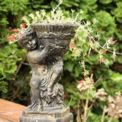 Lotus Red Flash - Parrot's Beak 12 Lotus Red Flash - Parrot's Beak -Outdoor Garden Care lotus planted